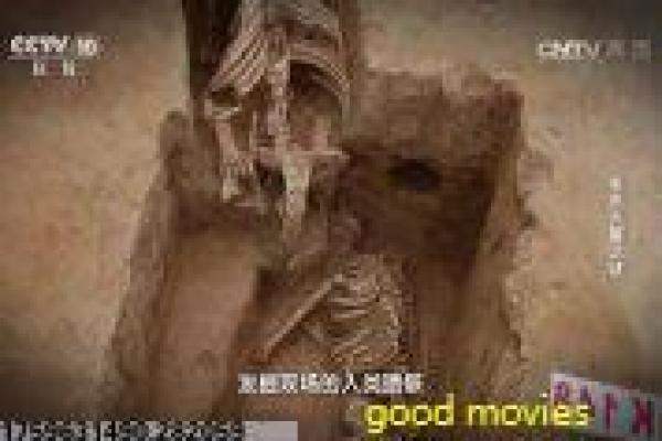 山海经之山河图-山海经之山河图神话,动漫电影影片简介上古妖兽的奇幻热血冒险