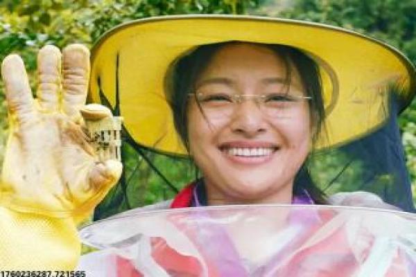 《追风游戏》追风赛车游戏的热血故事情节深
