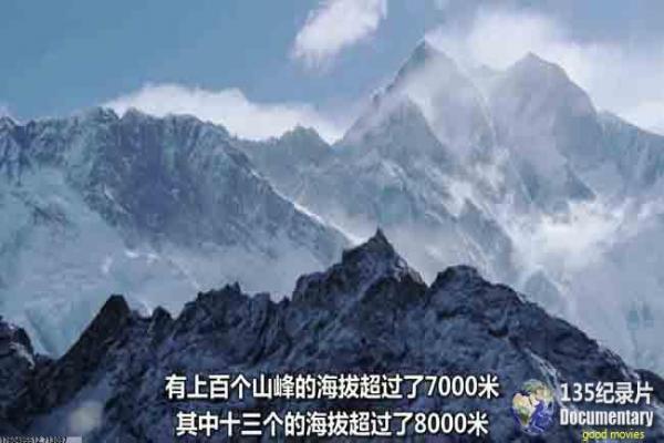 《恋爱烹饪术》恋爱烹饪术的浪漫美食故事情节全剧情剖析