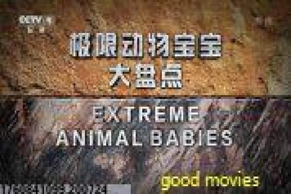 招魂2观看-沃伦夫妇驱魔续集恐怖影片解析