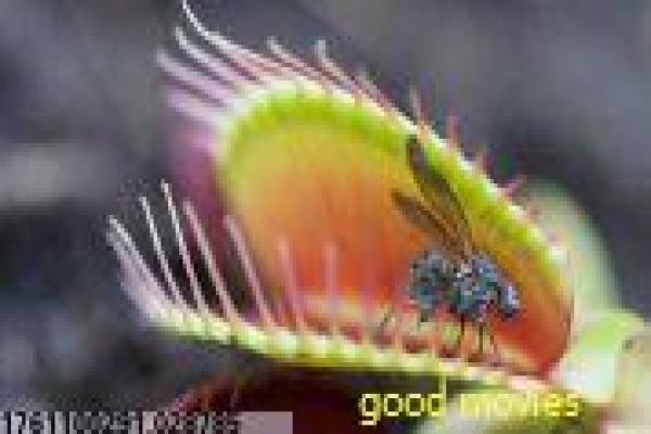 《天外来菌》外星病毒的科幻危机,解析人性抗争与文明存亡的科幻真相