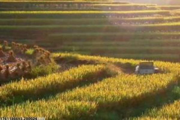 《外科风云》第34集医疗设定与情感线解析