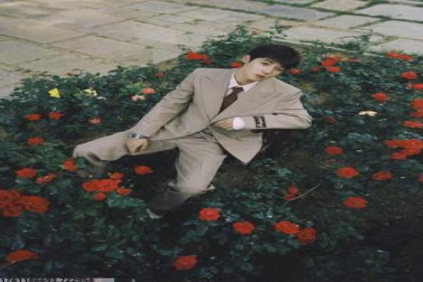 特级床上-特级床上的禁忌情欲,深度解析香港情色片的爱情与人性