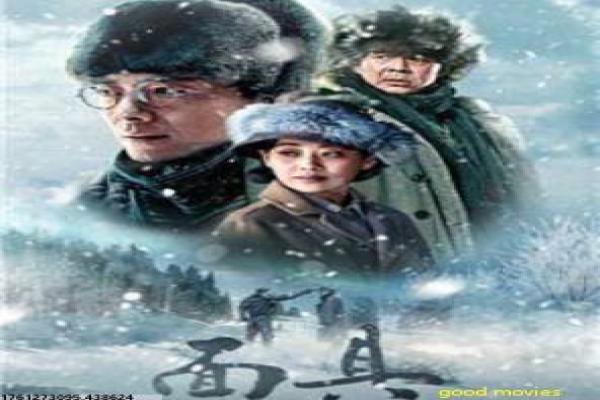 《呼叫助产士 第十二季》影片详细,呼叫助产士12医疗的感人故事