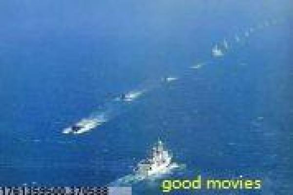 《新精武门》新精武门功夫的热血故事情节解析