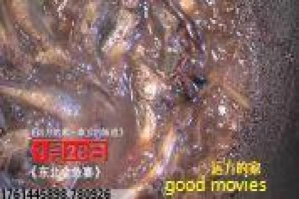 《大红灯笼高高挂》深度解析旧式家族制度下的女性悲剧命运