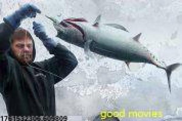 热血街区电影-热血街区的帮派激战,剖析日本动作片的街头与热血