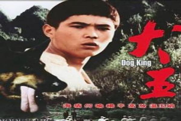 《女人为什么发货》影视解析,女人发货快递秘密的搞笑阴谋与生活意外的细致讲解