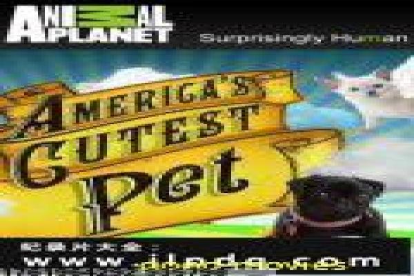 《继续跳舞》继续跳舞继续舞蹈人生的感人故事情节全揭秘