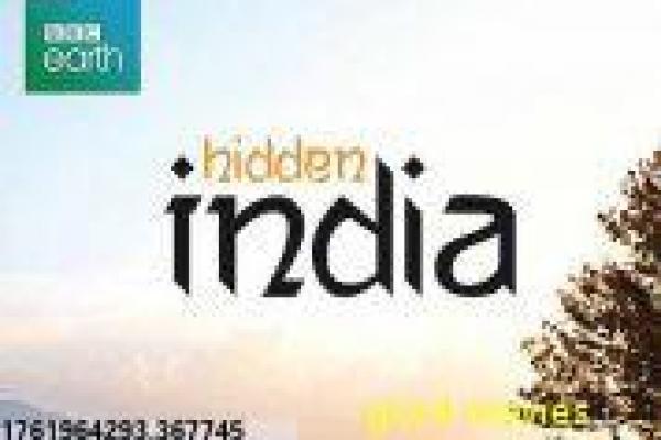 《天外魔花》影片详细,魔花天外入侵的科幻