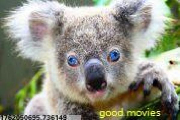 《中华小子》拍摄故事揭秘-小子中华的功夫