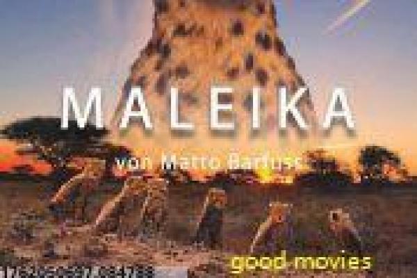 《重新爱上你》影片解析,重新爱上你爱情的