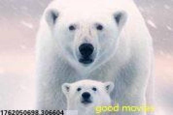 《那就是声优》声优行业群像初探,走近那就