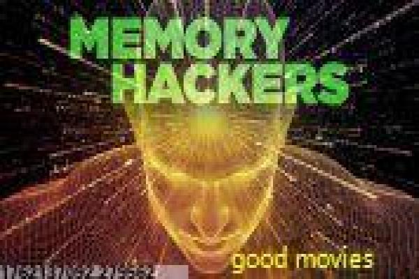 隧道韩剧网-隧道的悬疑穿越,深度解析韩剧的时空与人性救赎