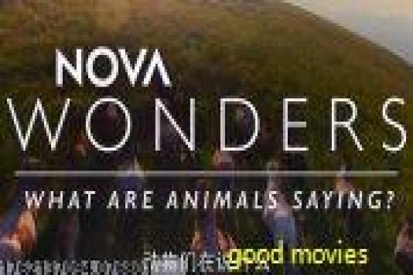 《变异兽》影片详细,变异兽恐怖的故事