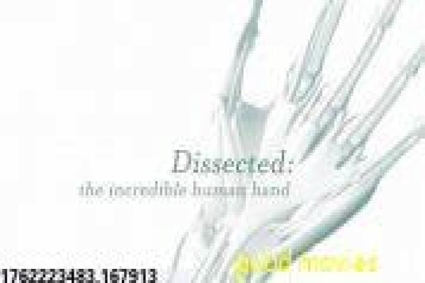 《米小圈上学记》影视讲解,米小圈上学记童