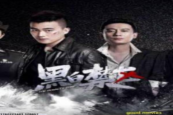 《危情血案》危情连环血案的悬疑故事情节解