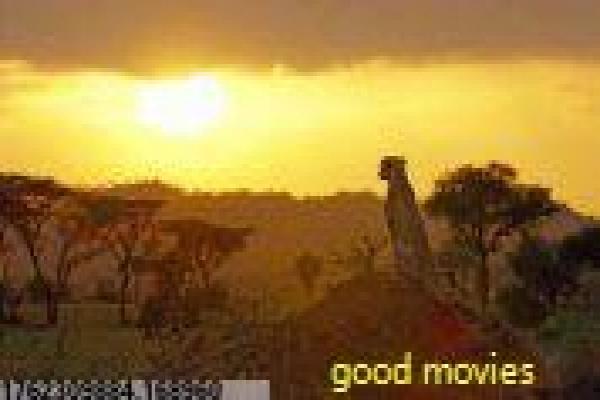 老炮儿在线观看-老炮儿在线北京胡同,在线