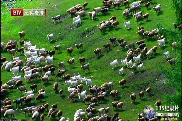 《风流韵事出租车》影片简介,风流韵事出租车爱情的传奇 《风流韵事出租车》影片简介,风流韵事出租车爱情的传奇