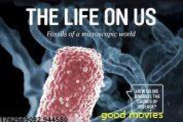 《灵域》故事情节深度还原,灵域探秘的玄幻冒险过程