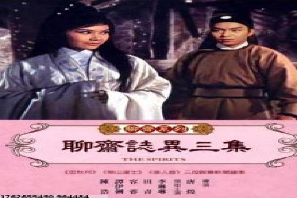 《野蛮人》影片详细,人野蛮入侵的惊悚房屋故事