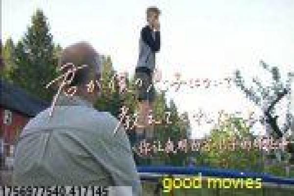 《火凤凰》剧情介绍详解,特种兵女兵的热血成长与军事训练幕后