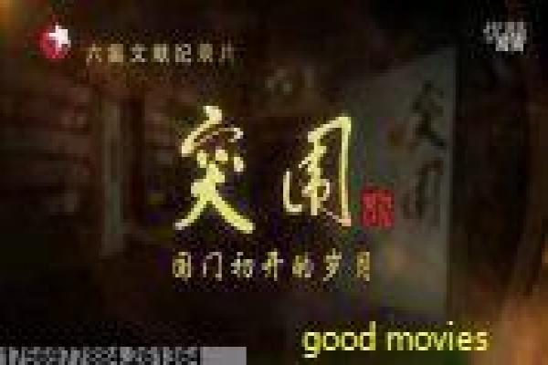 《我在大理寺当宠物》剧情讲解简介,物宠当寺理大的穿越萌宠与奇幻古装深度