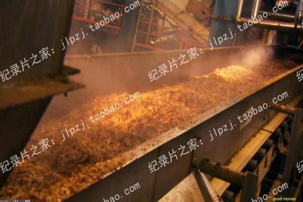 《特工绍特》动作片讲解|安吉丽娜朱莉特工形象与幕后揭秘