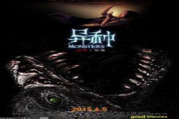 《寻找卡米洛城》卡米洛寻找影片简介与神秘古城深度讲解