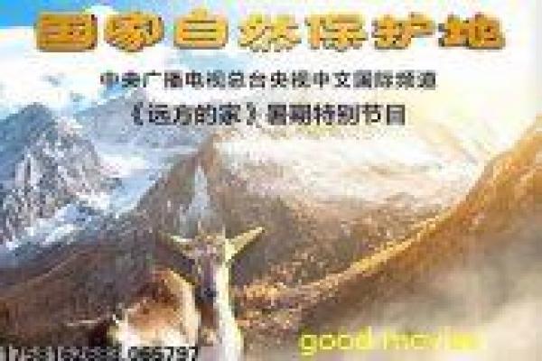 《赌神2016》赌界新王的荣耀征途,赌神2016热血讲解枭雄崛起