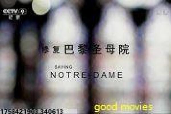 《地下吻》地铁一吻引发的情感风暴,探讨爱情与现实的冲突抉择
