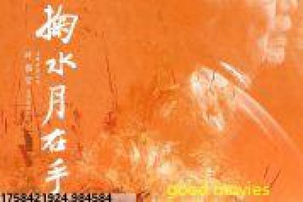 《模糊时间》影视讲解,模糊时间时空错乱的科幻迷局与记忆重构的深度解读
