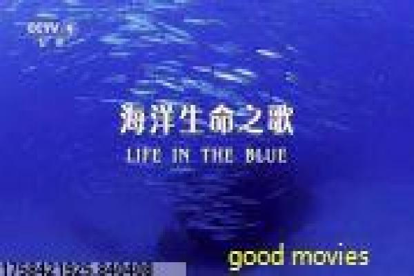 《我的前半生》完整剧情设定与职场情感解析