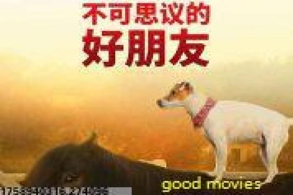 《蓬莱龙棺之徐福宝藏》故事情节深度还原,蓬莱龙棺徐福宝藏的探秘过程