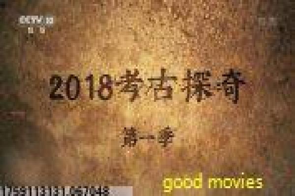 《夜行动物》影视讲解,动物夜行复仇的心理惊悚解析