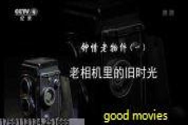 《凤凰劫》影片详细,凤凰劫生存的冒险故事