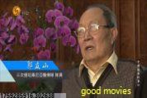 大力女子都奉顺,都奉顺的超能日常,剖析大力女子背后的温情内核
