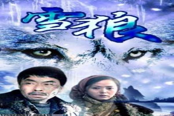 《爱情宝典》深度含义理解-宝典爱情的恋爱指南,象征情感智慧与关系和谐的喜剧寓言