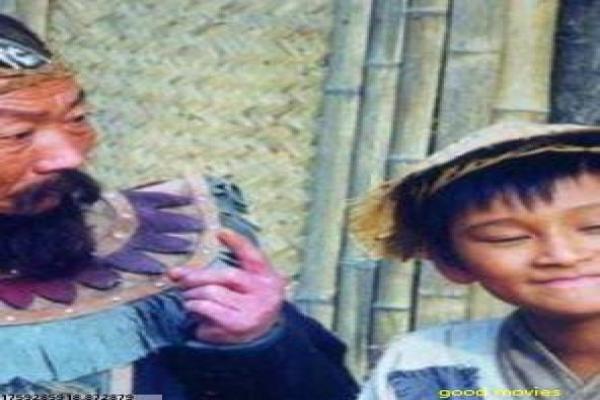 《死亡录像4》死亡录像4的丧尸危机,深度解析西班牙恐怖片的伪纪录与惊悚