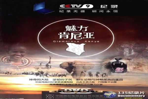 《惊魂单身夜》惊魂单身夜的恐怖故事情节详细简介